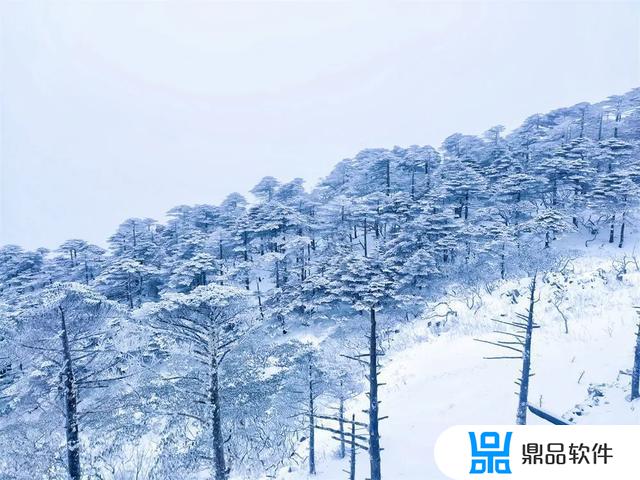 抖音下雪的动图(抖音下雪的图片)