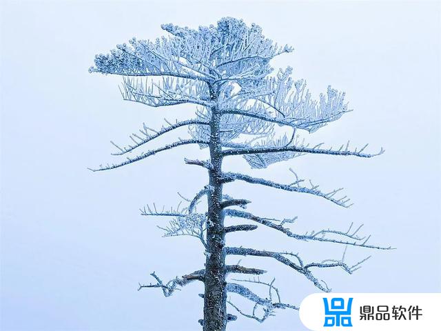 抖音下雪的动图(抖音下雪的图片)