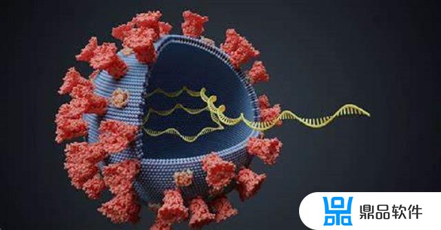 抖音dna到底是什么(抖音dna是什么)