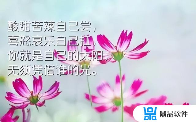 抖音上怎么发鸡汤(发抖音的鸡汤)