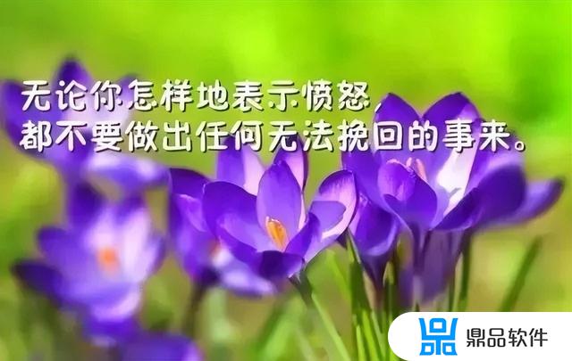 抖音上怎么发鸡汤(发抖音的鸡汤)