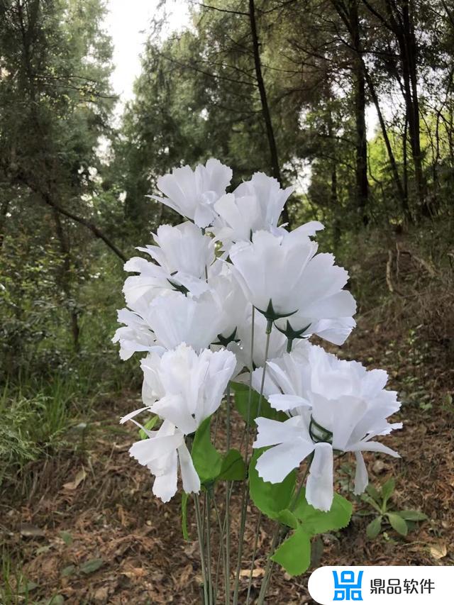 隔世的思念抖音文案怎么写(抖音关于思念的文案)