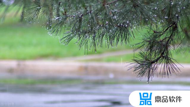 抖音里下雨了我还在想你(外面下着雨我好想你抖音)