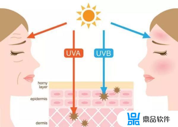 抖音推荐的迪贝雪美白怎么样(迪贝雪美白霜产品怎样)