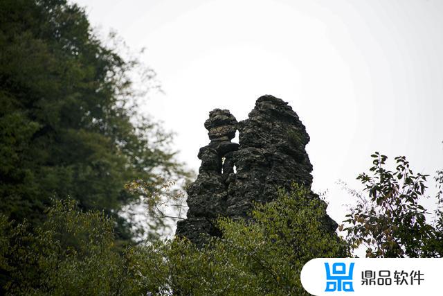 峡谷的风景抖音(峡谷的风景抖音文案)