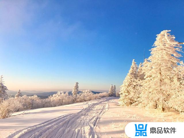 抖音为什么要限制改名(抖音为什么要限制改名字)