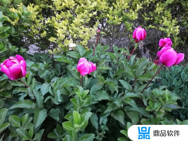 抖音编辑怎么找节点(抖音编辑怎么找节点标签)