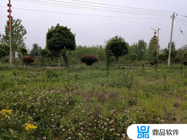 抖音编辑怎么找节点(抖音编辑怎么找节点标签)