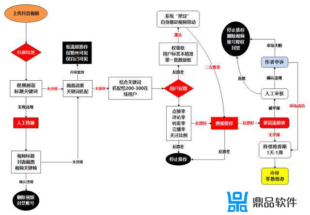 抖音为什么有的单号有的双号(抖音为什么有的单号有的双号有的三号)