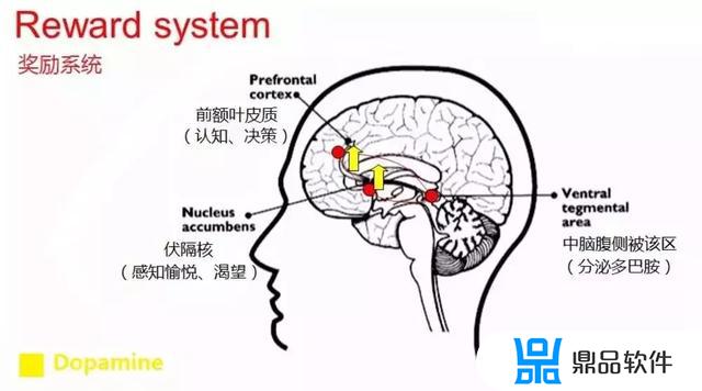 为什么抖音不锁了(为什么抖音不锁了怎么回事)