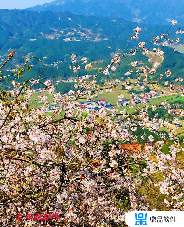 龙家田省道旁边的美女抖音