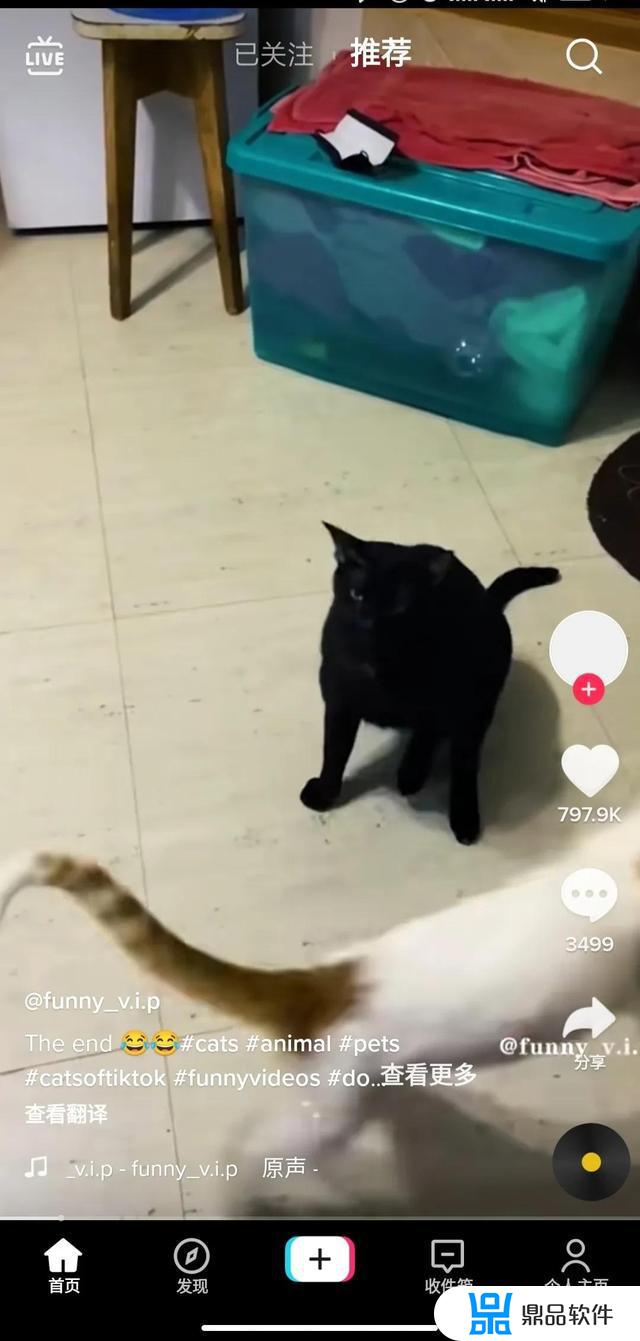 国际版的抖音怎么登录安卓手机(国际版的抖音怎么登录安卓手机上)