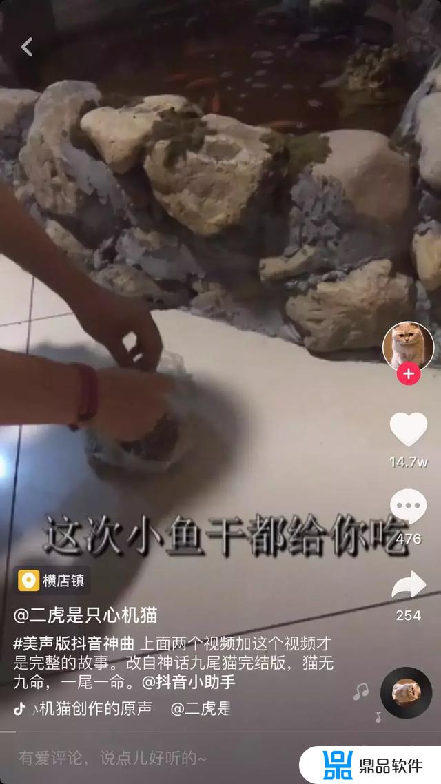 为什么抖音里面都在为狗狗发声(为什么抖音里面都在为狗狗发声呢)