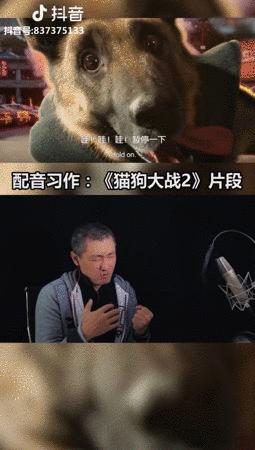 抖音科普账号名称(抖音科普账号名称大全)