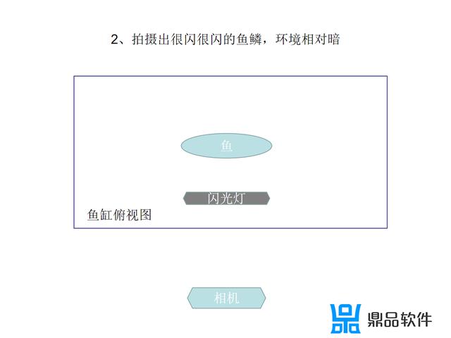 抖音里的小鱼儿是怎么拍的(抖音里的小鱼儿是怎么拍的视频)