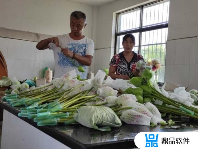 宣平荷花的抖音(荷花抖音视频)