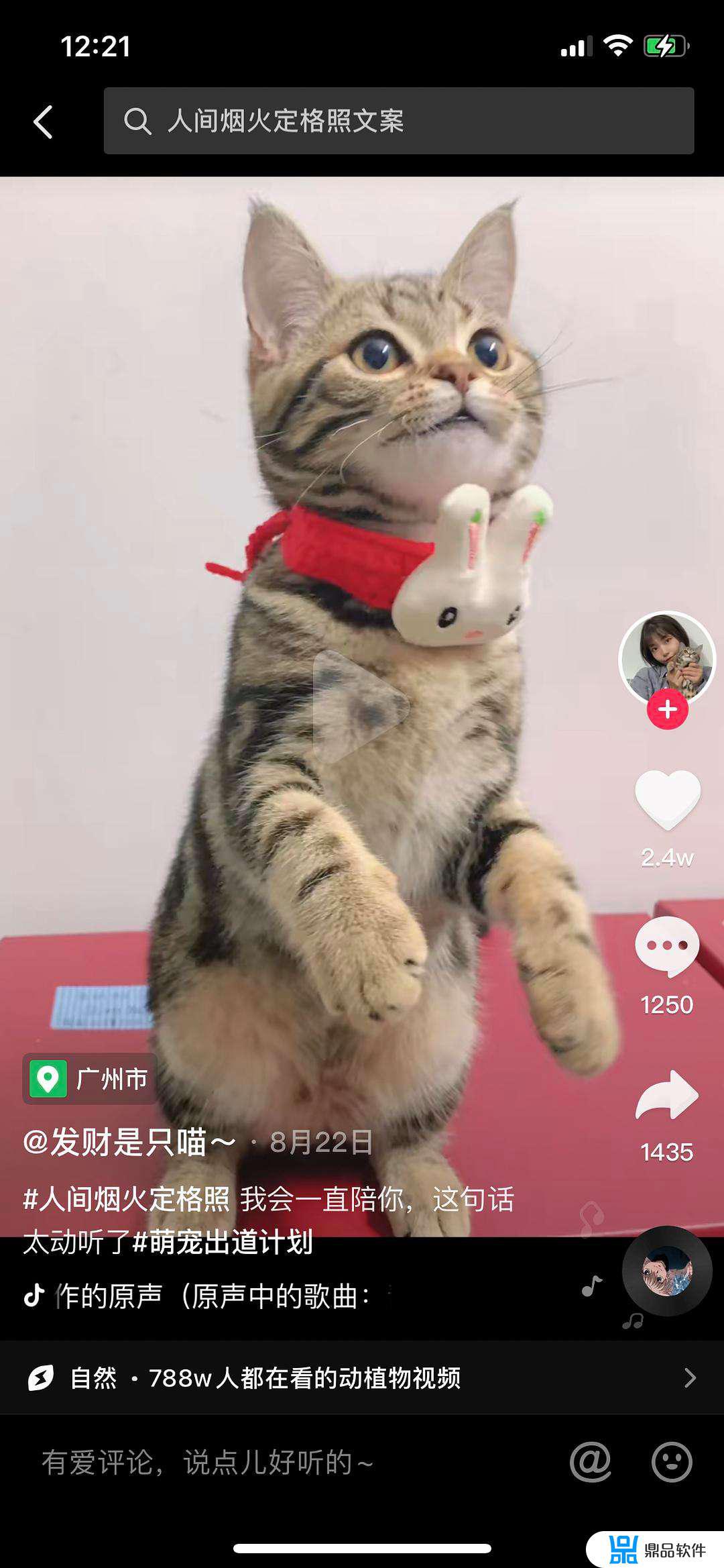 狗和猫怎么玩抖音(狗和猫怎么玩抖音视频)