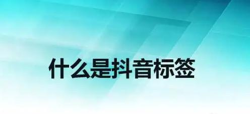 抖音的标签该怎么写(抖音的标签该怎么写呢)