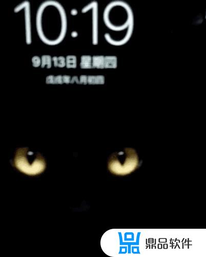 抖音黑猫app下载(抖音黑猫app下载安装)