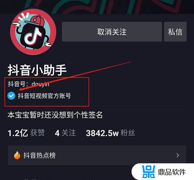 抖音账号网址是什么(抖音账号网址是什么意思)