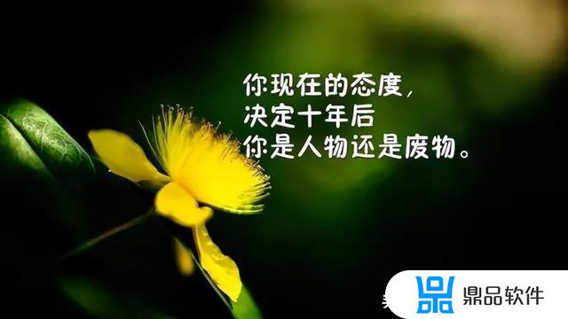 抖音文案短句阳光快乐(女人发抖音最火的句子)