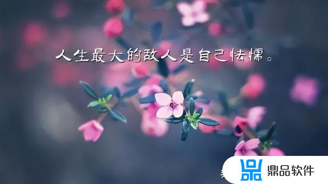 抖音文案短句阳光快乐(女人发抖音最火的句子)