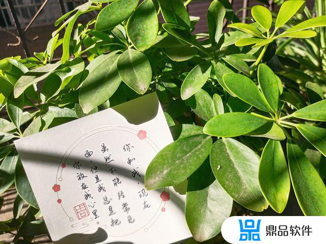 抖音最火闺蜜句子沙雕简短(抖音最火闺蜜句子沙雕简短九号线合川路头班车)