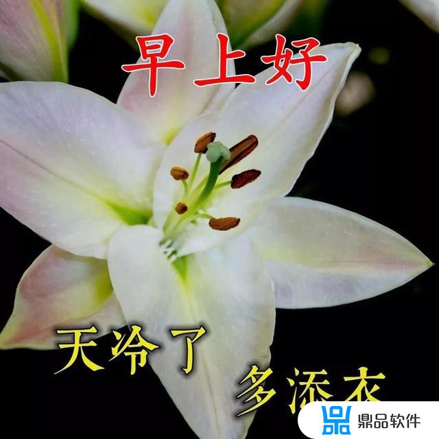 抖音网红句子正能量(100%能上热门的文案)