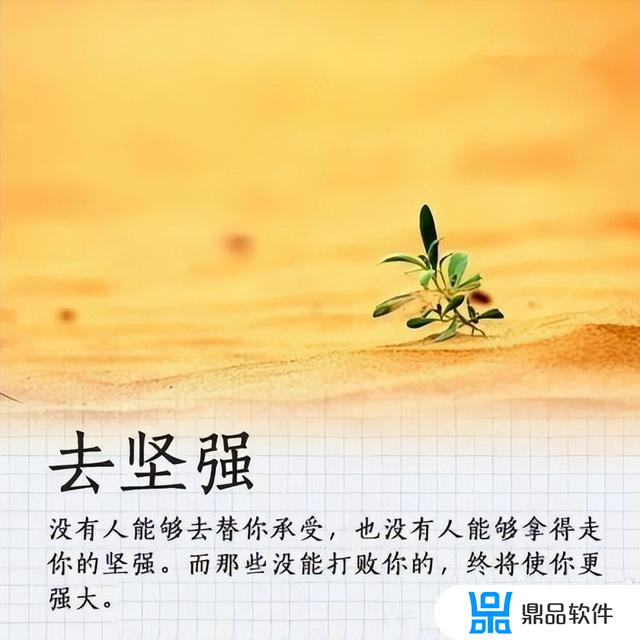 抖音励志句子唯美简短(抖音励志经典句子简短)