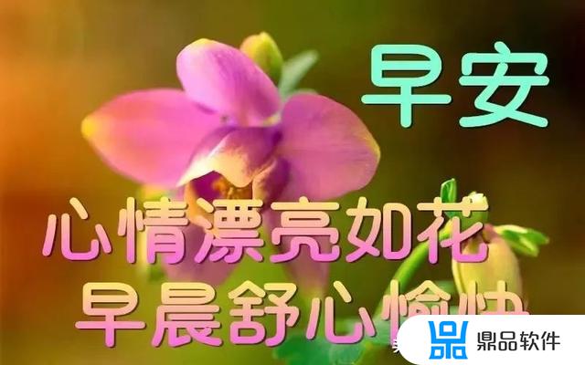 抖音容易上热门的句子正能量(抖音容易上热门的句子正能量孩子)