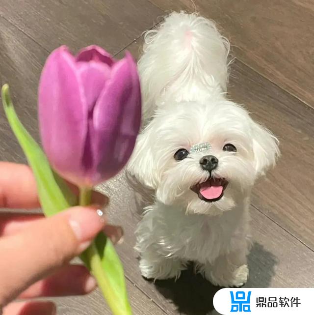 抖音最火的网名女生版霸气(抖音最火的网名女生版霸气带符号)