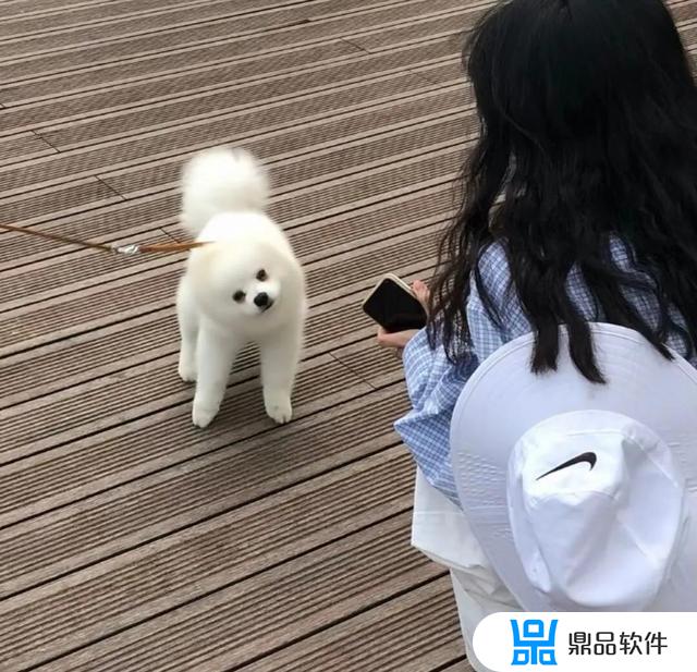 抖音最火的网名女生版霸气(抖音最火的网名女生版霸气带符号)