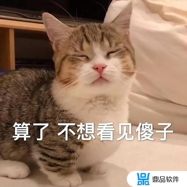 抖音卧龙凤雏是什么梗