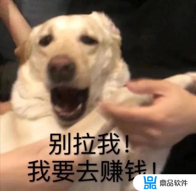 抖音猫躲墙后面表情什么意思(抖音一个猫躲墙后的表情)