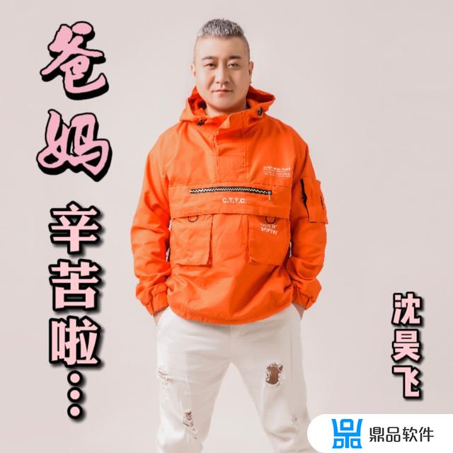 抖音最火的歌曲感恩父母(抖音最火的歌曲感恩父母的歌)