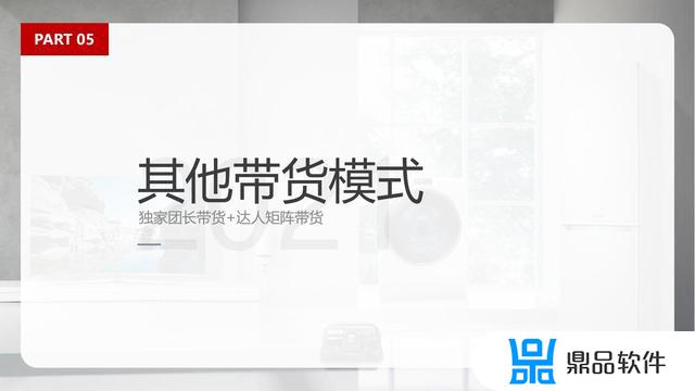 抖音直播带货项目策划书(抖音直播带货项目策划书怎么写)