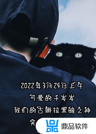 抖音千岁岁是什么品种的猫(抖音里的千岁岁是什么品种的猫)