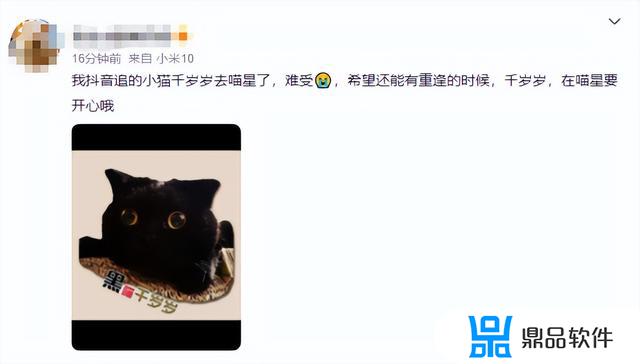 抖音千岁岁是什么品种的猫(抖音里的千岁岁是什么品种的猫)