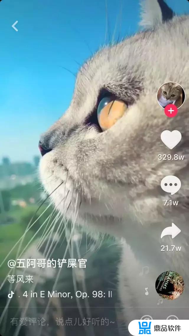 抖音猫儿和儿子真实关系(抖音猫儿的儿子)