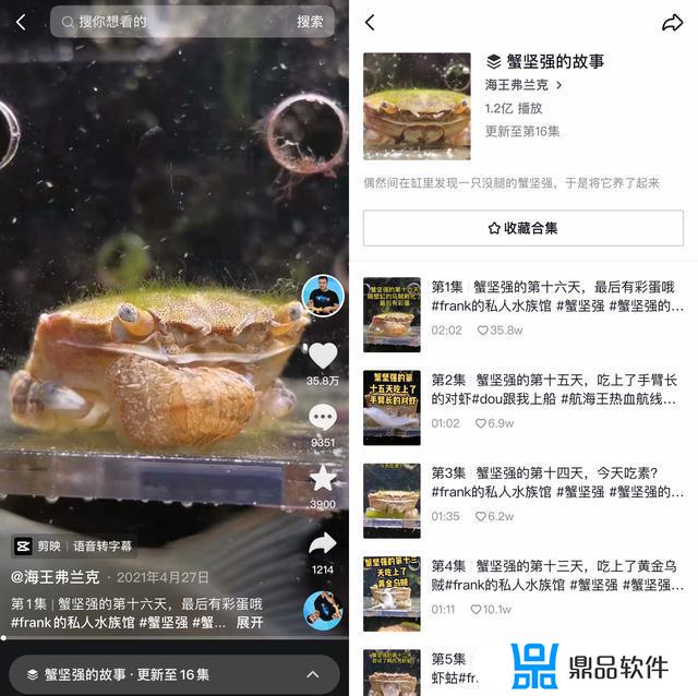 抖音评论虫子是什么梗