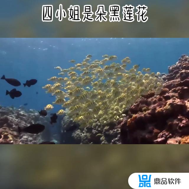 姓赵怎么起抖音名字(姓赵怎么起抖音名字寓意发财的)