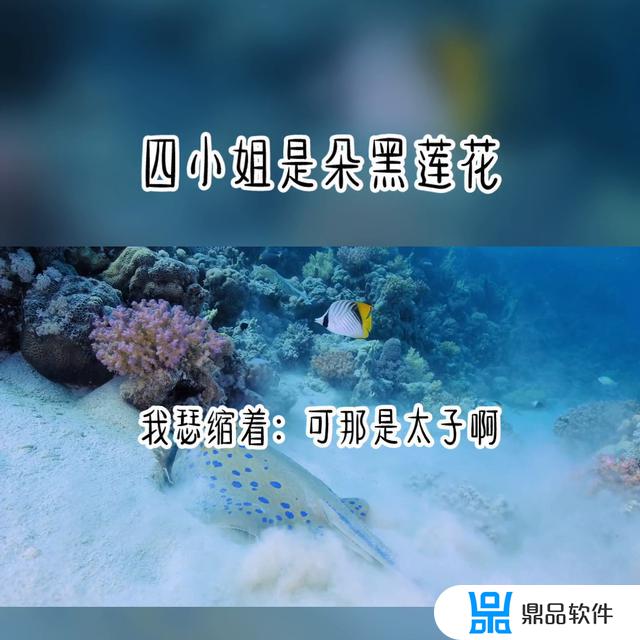 姓赵怎么起抖音名字(姓赵怎么起抖音名字寓意发财的)