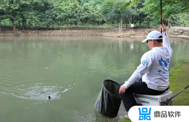 抖音上的钓鱼直播靠什么赚钱(抖音上的钓鱼直播靠什么赚钱呢)