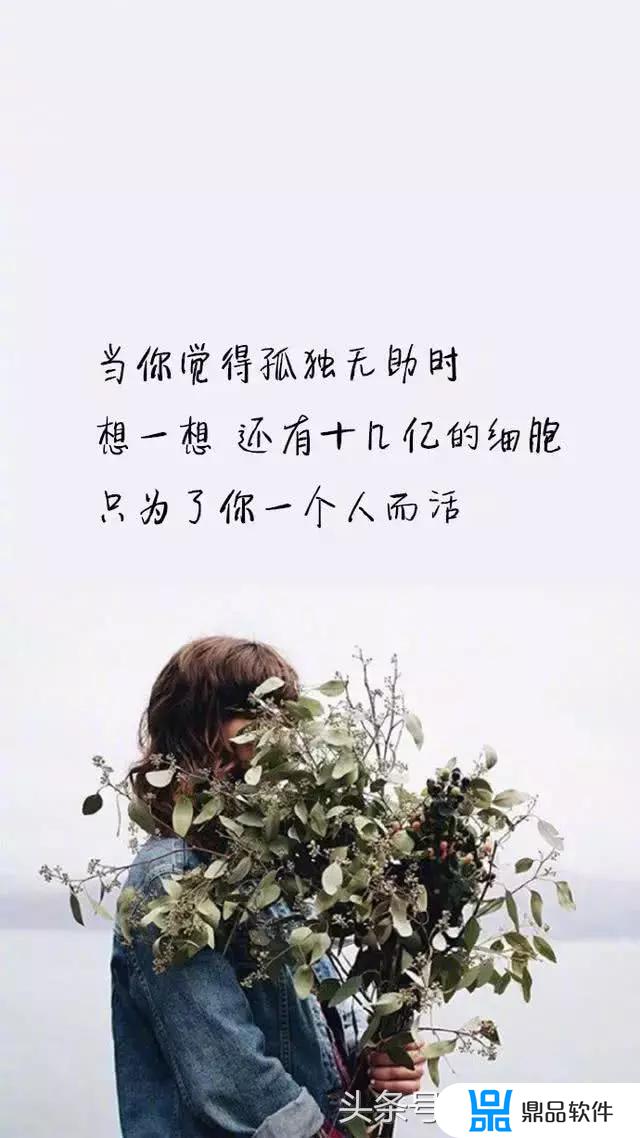 发抖音容易火的句子(早上发抖音容易火的句子)