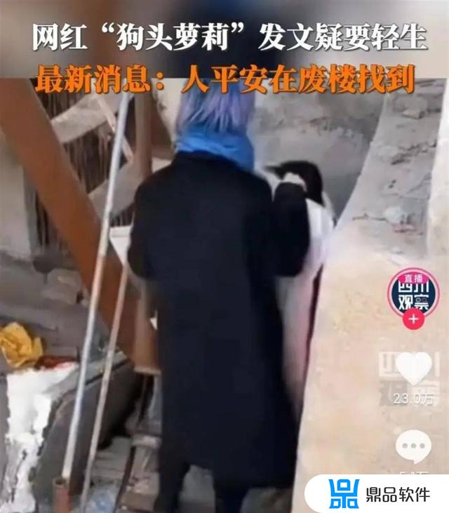 抖音里灰色狗头是什么意思(女生发狗头暗示什么)