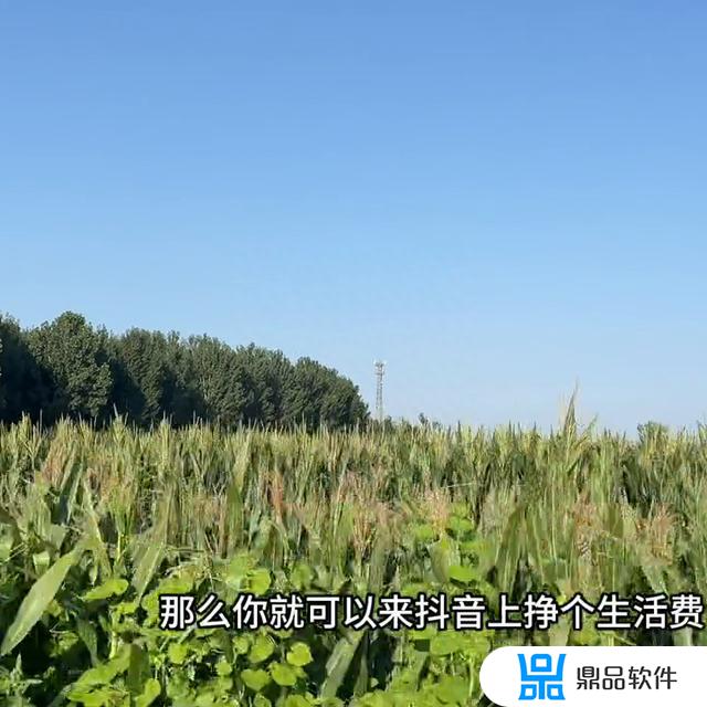 抖音的变现模式是什么(抖音的变现模式是什么意思)