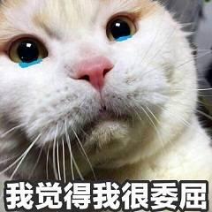 抖音右上角两个小人不见了(抖音右上角两个小人不见了怎么回事)