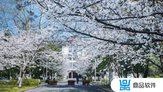 抖音樱花雨礼物怎么获得(抖音樱花雨礼物怎么获得视频)