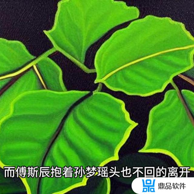 沈星洛傅斯辰抖音推荐(沈星洛傅斯辰抖音推荐机长结局)