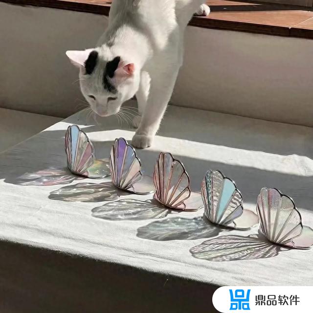 抖音上超火的猫咪头像超治愈(可爱到爆的猫咪头像)